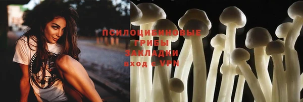 a pvp Арсеньев