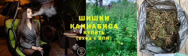 spice Аркадак